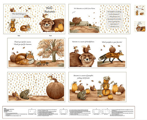 Hello Autumn – Little Readers 5 by Dawn Rosengren For Henry Glass